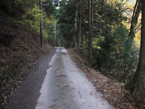 20131124hike (27)